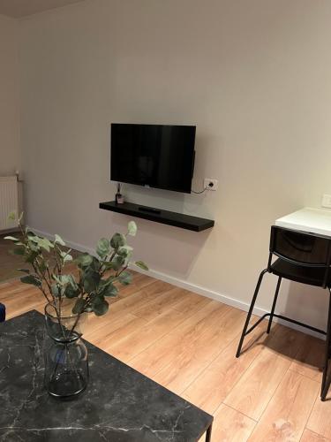 Телевизия и/или развлекателен център в 1 bedroom apartment