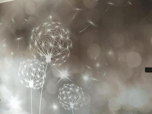 a bunch of dandelions flying in the sky at Nido delle meraviglie in Canelli