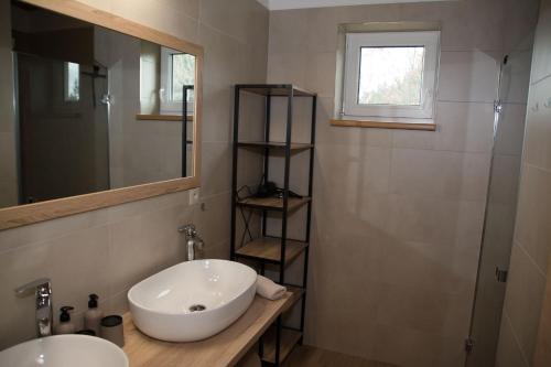 bagno con lavandino, specchio e doccia di Chata Miki a Boskovice