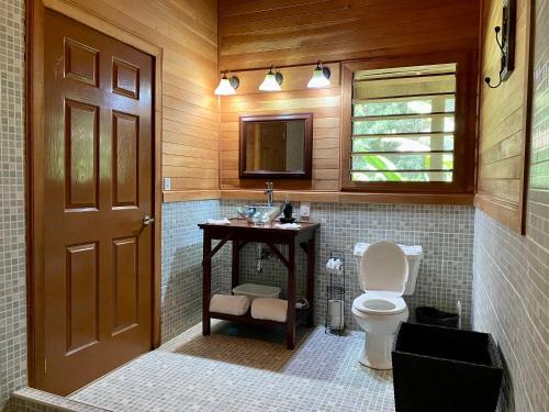 a bathroom with a toilet and a sink and a mirror at Dream Valley Belize in Teakettle Village