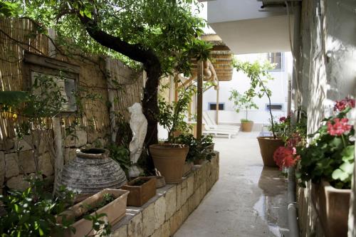 a courtyard with a bunch of potted plants at Hideaway in Kas