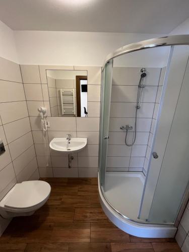 a bathroom with a shower and a toilet and a sink at Janickowa Ostoja - Noclegi w Zakopanem in Zakopane