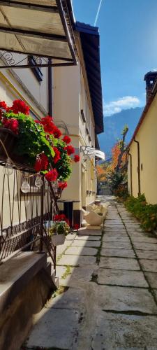 Fotografie z fotogalerie ubytování Happy Mood Apartment 5 v destinaci Brašov