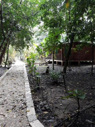 a path in a park with a bench and trees at Cabaña Tu´ur in Lacanjá