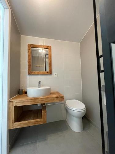 une salle de bain avec un lavabo et des toilettes dans l'établissement Charmante Villa avec piscine chauffée et terrain de pétanque, au Thoronet