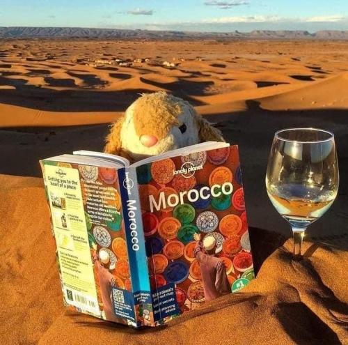 a stuffed teddy bear sitting next to a book and a glass of wine at Merzouga Luxury Tents - Glamping in Merzouga