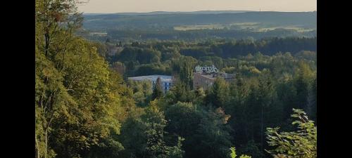a building in the middle of a forest of trees at Apartment GRUN WALD Marianske Lazne in Mariánské Lázně