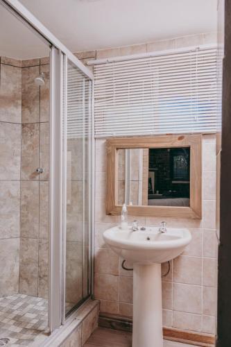 a bathroom with a sink and a shower at Cosy Cottages Guesthouse in Potchefstroom