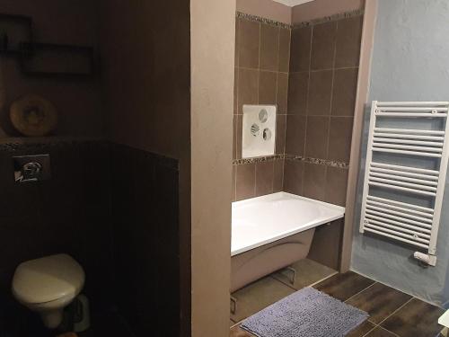 ein kleines Bad mit WC und Waschbecken in der Unterkunft Très belle maison chaleureuse au coeur de Mirepoix in Mirepoix