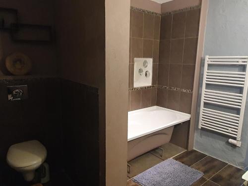 a small bathroom with a toilet and a sink at Très belle maison chaleureuse au coeur de Mirepoix in Mirepoix
