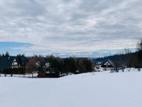 a field covered in snow with houses in the background at Agroturystyka Pod Modrzewiem in Zubrzyca Górna