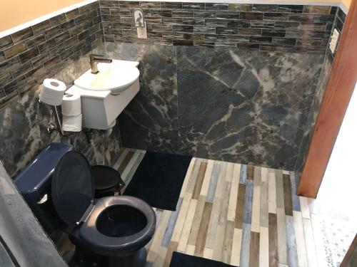 a bathroom with a toilet and a sink at Moonrise Beach in Placencia