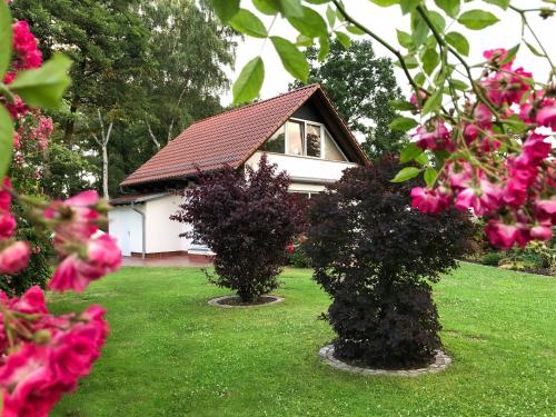 a house with two bushes in a yard with flowers at Ferienhaus direkt an der Spree mit Whirlpool und Sauna in Berlin