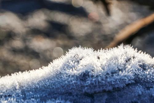 a close up of a blue towel covered in frost at Oupoort Eco & Guest Farm - Sutherland - Middelpos in Sutherland