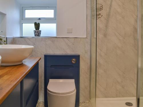 a bathroom with a toilet and a sink at Primrose Cottage - Uk41346 in Cromer