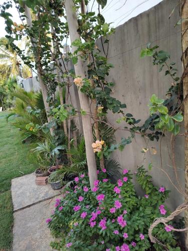 a tree with pink flowers in a garden at Pousada paraiso das dunas in Cumbuco