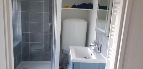 La petite salle de bains est pourvue d'une douche et d'un lavabo. dans l'établissement Appartements entiers proche Aéroport - ZAC Chesnes - CNPE du Bugey Check-In 24h7J, à Satolas-et-Bonce