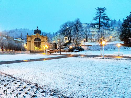 CENTRAL Marienbad Apartaments
