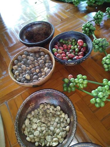 a group of bowls of different types of vegetables on a table at Shanti Natural Panorama View Hotel in Singaraja