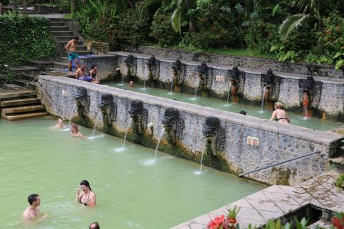 a group of people in the water in a pool at Shanti Natural Panorama View Hotel in Singaraja