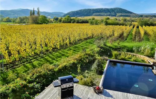 Beautiful Home In Mittelbergheim With Outdoor Swimming Pool, Sauna And 3 Bedrooms