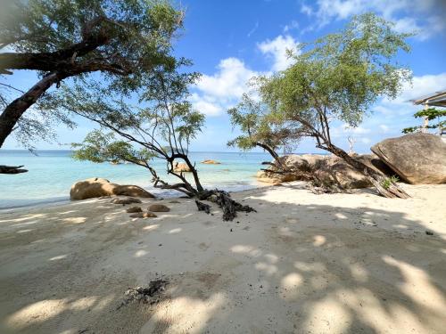 a sandy beach with trees and the ocean at Siam Cookies Cottage in Haad Pleayleam