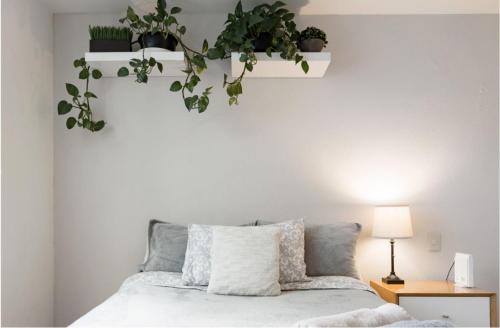 1 dormitorio con 1 cama con plantas en la pared en Ny Napoles Condos WTC en Ciudad de México