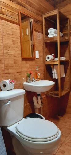 a bathroom with a toilet and a sink at Jardin entre Montañas in Bijagua