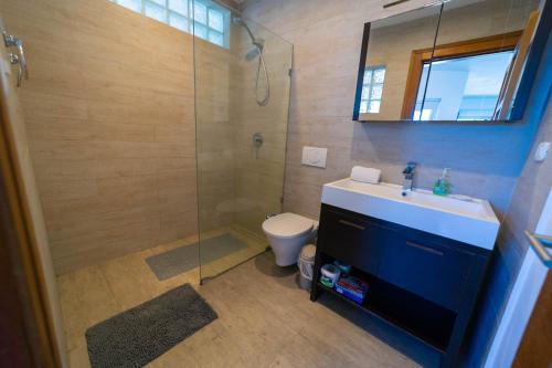 uma casa de banho com um chuveiro, um lavatório e um WC. em WOW location Kite Beach Oceanfront Panoramic Views 2 DECKS 2 Bedrooms em Cabarete