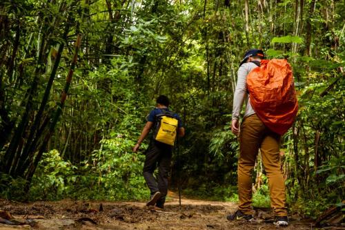 two men walking on a trail in the woods at Monkey Mansion - Jungalows & Tours in Khao Sok