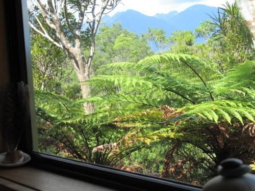 a window with a view of a forest at Beaconstone - off grid retreat in Charleston