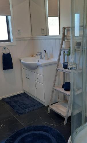 a bathroom with a sink and a ladder next to a shelf at Cosy on Courtney in Motueka