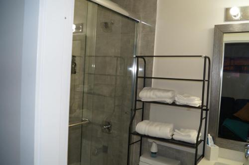 y baño con ducha, aseo y toallas. en Ground Level One Bedroom Suite, en Surrey