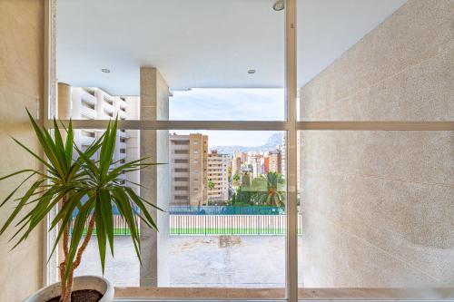 SAN REMO Levante beach apartments photo 44