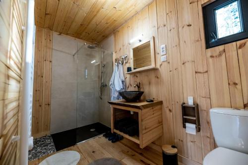 uma casa de banho com paredes de madeira, um chuveiro e um WC. em le lodge en mormal em Louvignies-Quesnoy