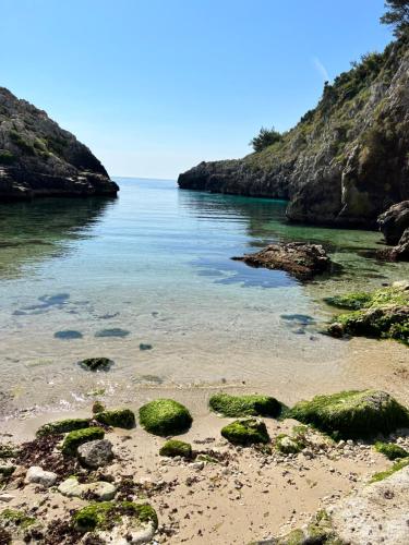 La Cala on Acquaviva – Photos 3