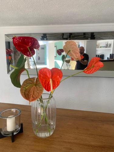 a vase with red flowers in it on a table at Cosy Guest House Sous le Badamier in Grand Baie