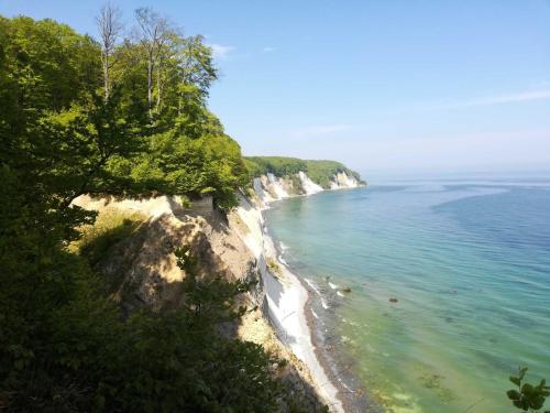 Blick auf einen Strand mit Bäumen und das Meer in der Unterkunft Rügen-Fewo 285 in Neu Mukran