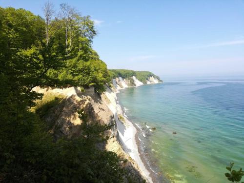 a view of a beach with trees and the ocean at Ruegen_Fewo 285 in Neu Mukran