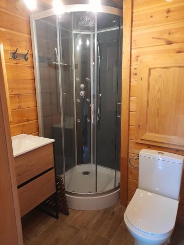 une salle de bain avec douche et toilettes dans l'établissement chalets de la Soyotte, à Xonrupt-Longemer