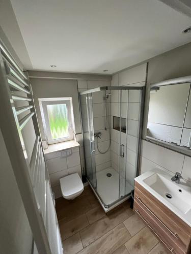 a bathroom with a shower and a toilet and a sink at Ferienhaus Kira in Boltenhagen