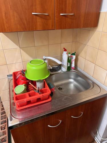 a kitchen sink with a green pot on top of it at Apartmán u vleku in Studénka