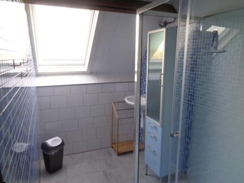 a bathroom with a glass shower and a sink at appartement met 5 slaapkamers in Moerstraten