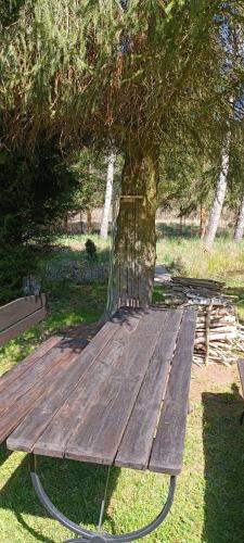 a wooden bench sitting in front of a tree at Zacisze u Ani in Siemiany