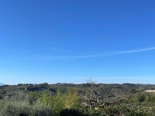 Gallery image of Il giardino del giuggiolo in Siena