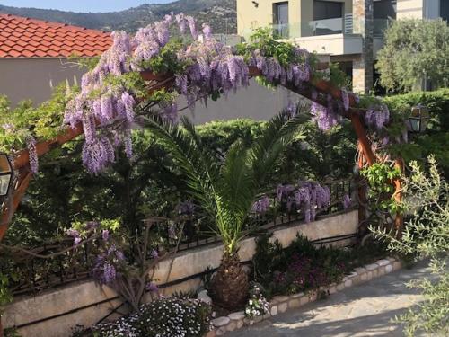 a bunch of purple flowers hanging over a fence at Aegean Villas in Potos