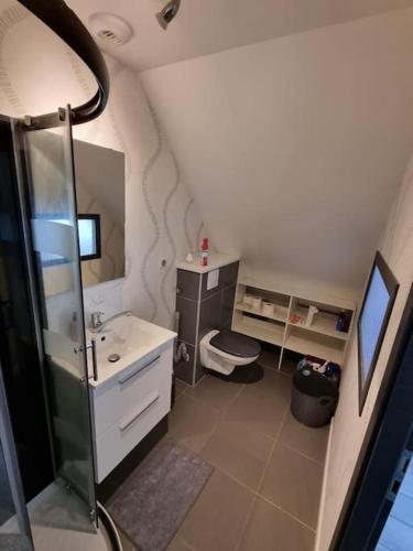 a small bathroom with a sink and a toilet at Studio de la Demi Lune in Plobsheim