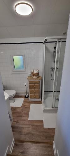a bathroom with a shower and a toilet and a sink at La Berceuse Normande in Dampierre-sur-Avre