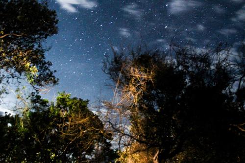 a starry night with trees in the foreground at Sky Island Resort in Ponta Malongane