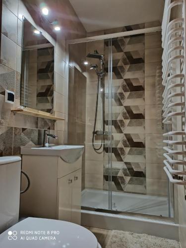 a bathroom with a shower and a sink at Willa Tatry in Bańska Niżna